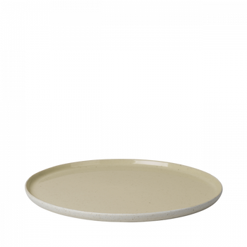 Neutralfarbenes Keramikteller mit einer glatten, glänzenden Oberfläche auf einem weißen Hintergrund.