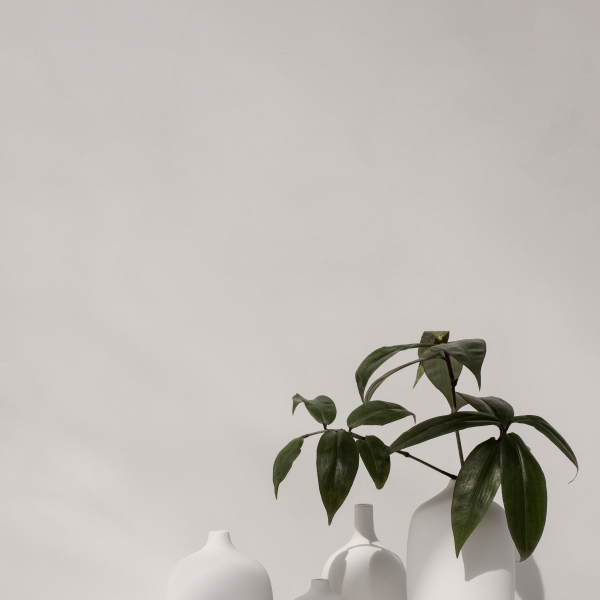 Minimalistische weiße Vasen mit grünen Blättern vor einer hellen, strukturierten Wand.