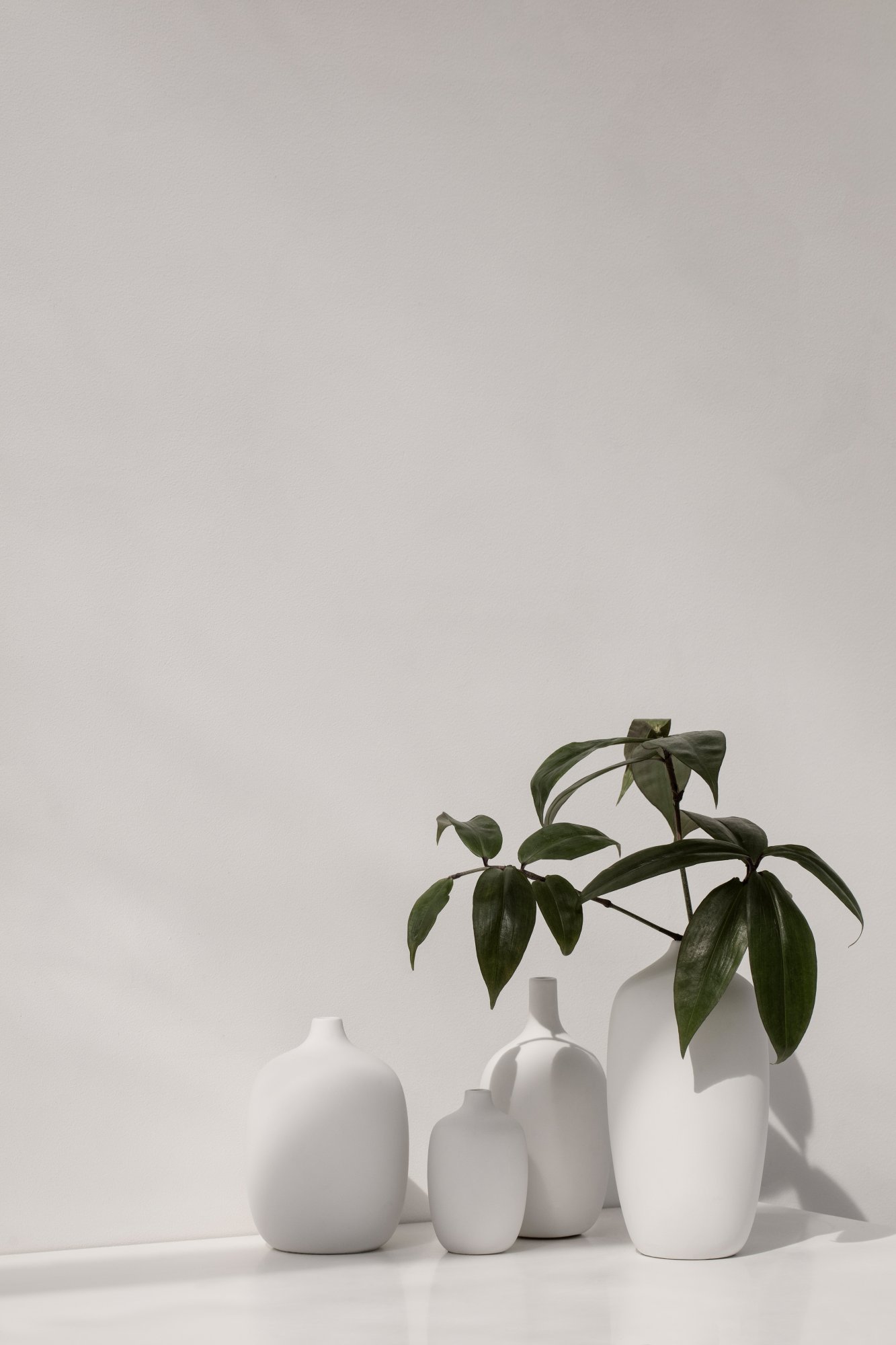 Minimalistische weiße Vasen mit grünen Blättern vor einer hellen, strukturierten Wand.