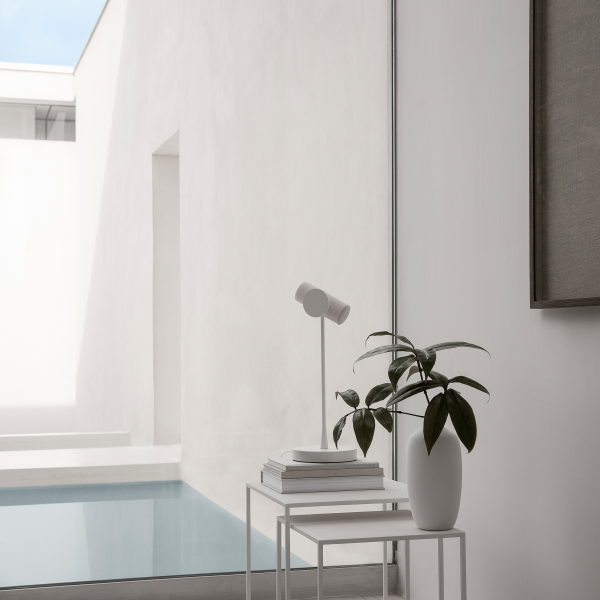 Modern minimalism featuring a white lamp and potted plant by a serene indoor pool.