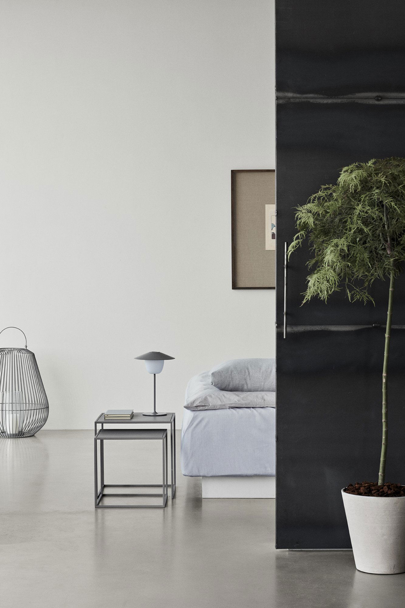 Moderner Wohnraum mit minimalistischer Einrichtung, der eine Pflanze und stilvolle Möbel enthält.