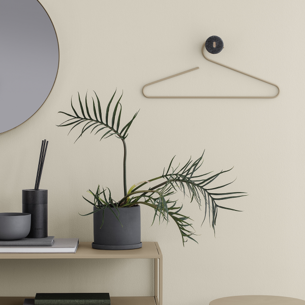 Modern interior featuring a decorative plant, stylish hanger, and minimalist decor.