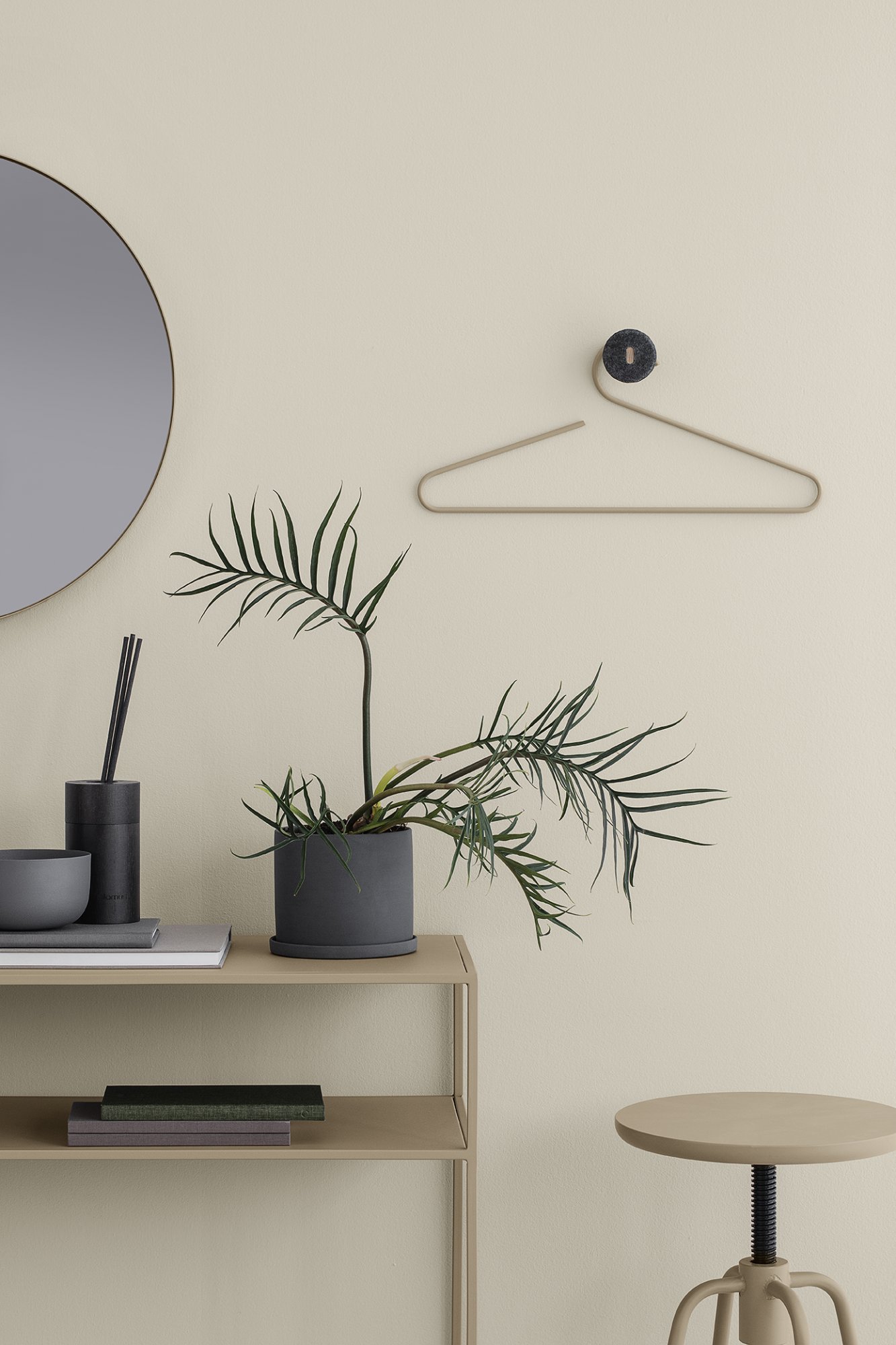 Modern interior featuring a decorative plant, stylish hanger, and minimalist decor.