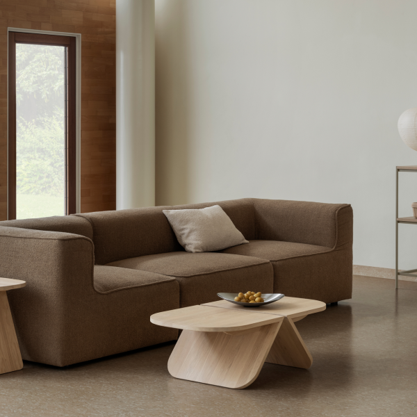 Modernes Wohnzimmer mit einem braunen Sofa, minimalistischer Kaffeetisch und natürlichem Licht.
