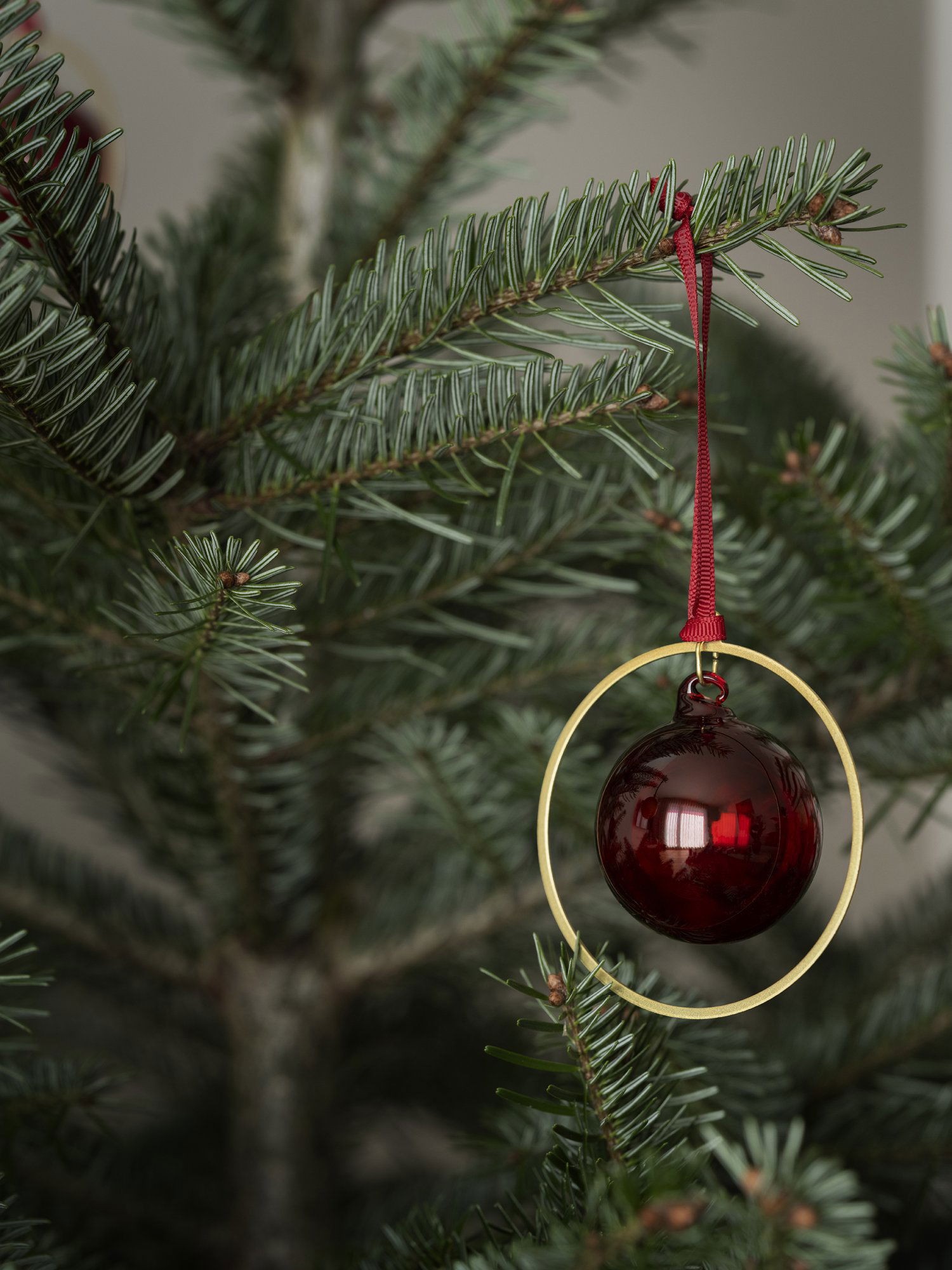 Red glass ornament hanging on a Christmas tree with green pine branches.