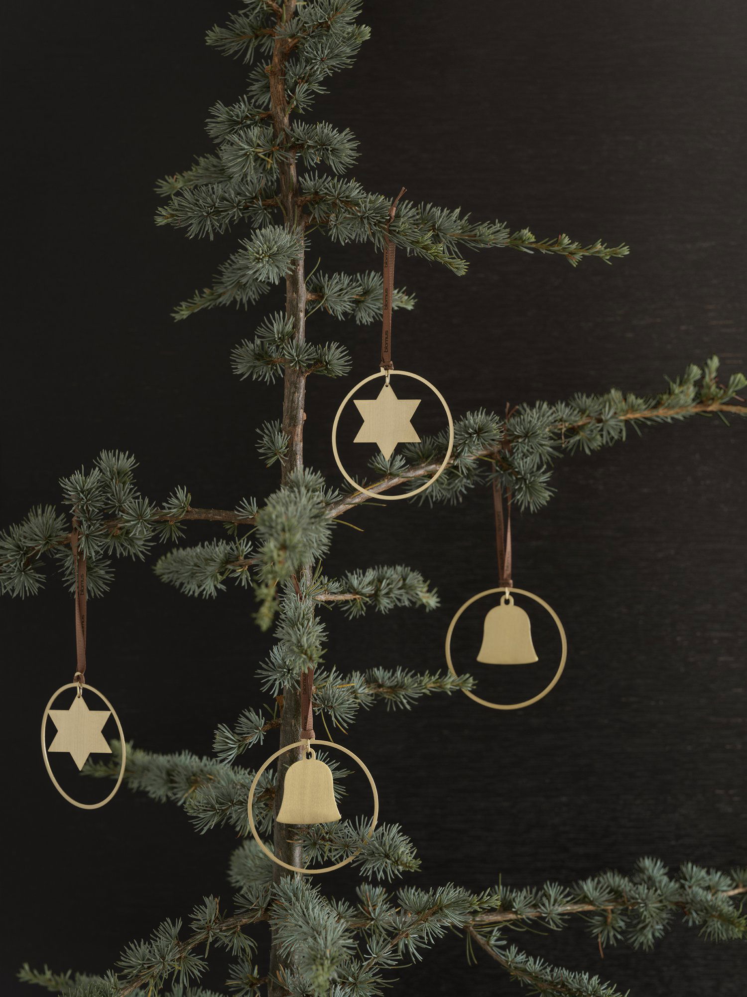 Elegante goldene Ornamente hängen von einem Weihnachtsbaumzweig vor einem dunklen Hintergrund.