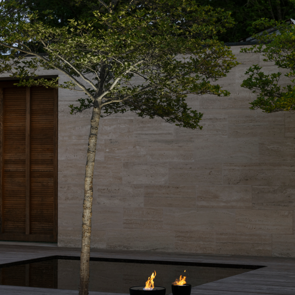 Serene outdoor scene featuring a tree by a fire pit against a stone wall backdrop.