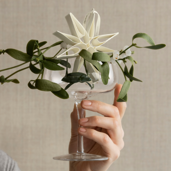 Eine Hand hält eine Glasvase mit einer dekorativen Sternblume und grünem Laub.