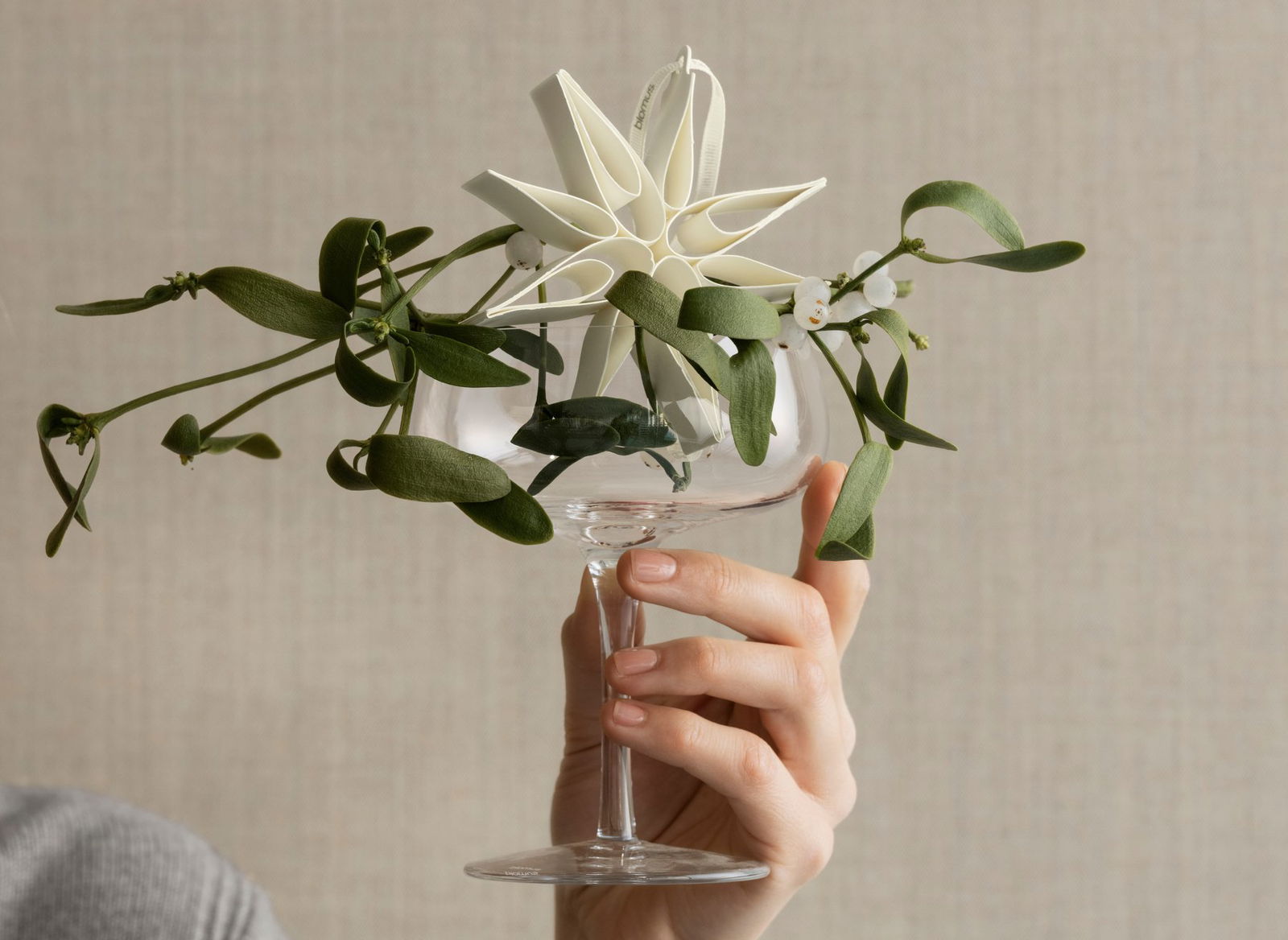 Eine Hand hält eine Glasvase mit einer dekorativen Sternblume und grünem Laub.
