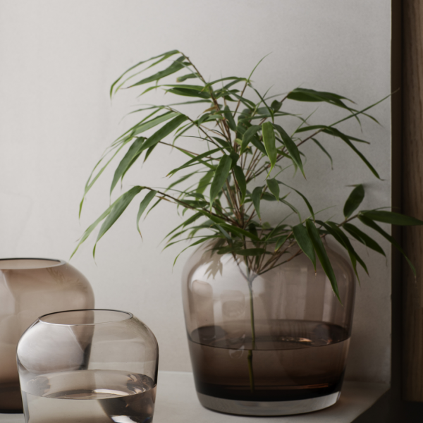 Dekorative Glasvasen mit einer Bambuspflanze auf einem minimalistischen Innenshelf.