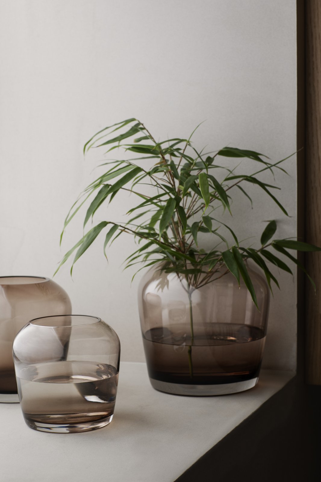 Dekorative Glasvasen mit einer Bambuspflanze auf einem minimalistischen Innenshelf.