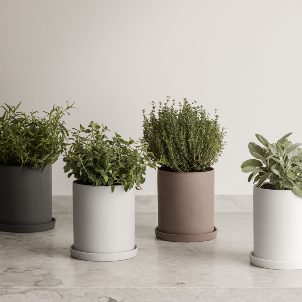 Stylish indoor herb pots with fresh plants on a marble countertop.