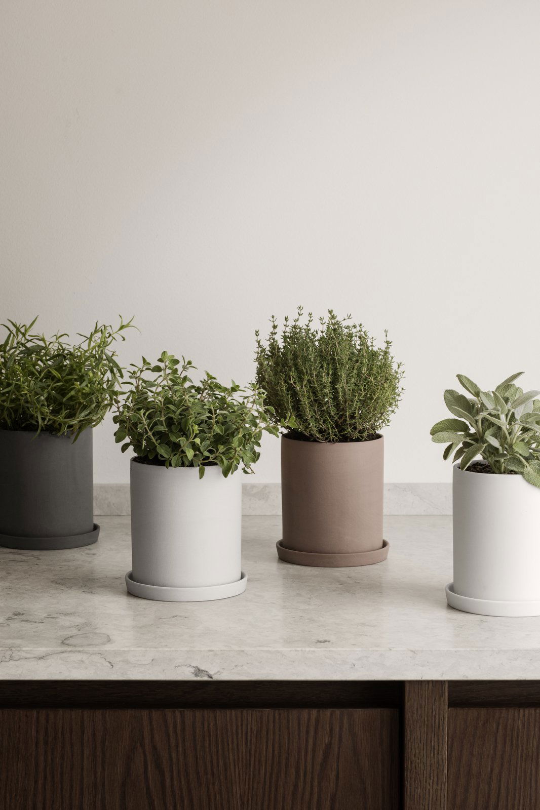 Stylish indoor herb pots with fresh plants on a marble countertop.