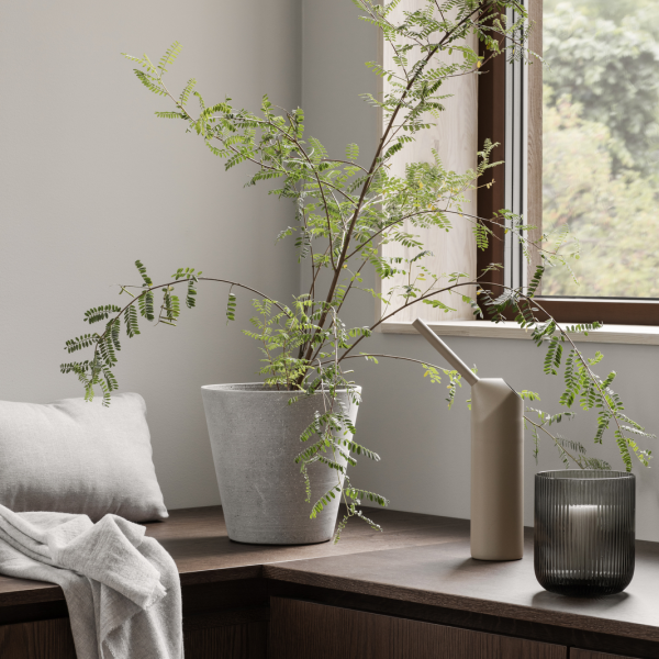 Zimmerpflanzenanordnung in einem stilvollen modernen Wohnraum mit sanften Dekorelementen.