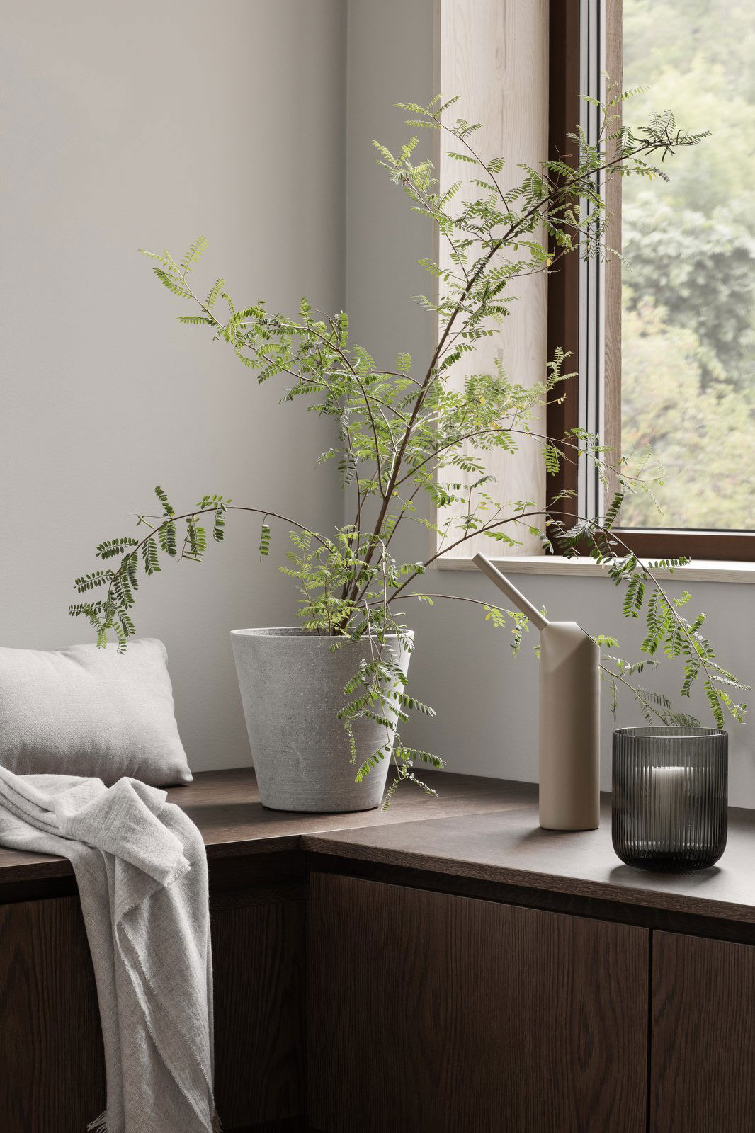 Zimmerpflanzenanordnung in einem stilvollen modernen Wohnraum mit sanften Dekorelementen.