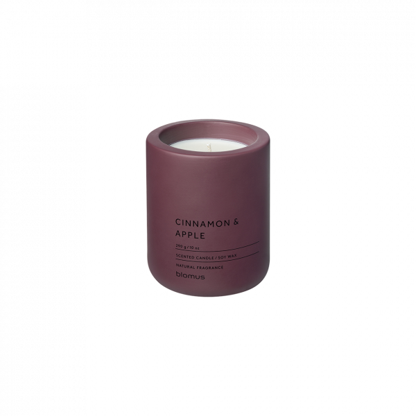 Cinnamon and apple scented candle in a stylish burgundy holder for cozy home ambiance.