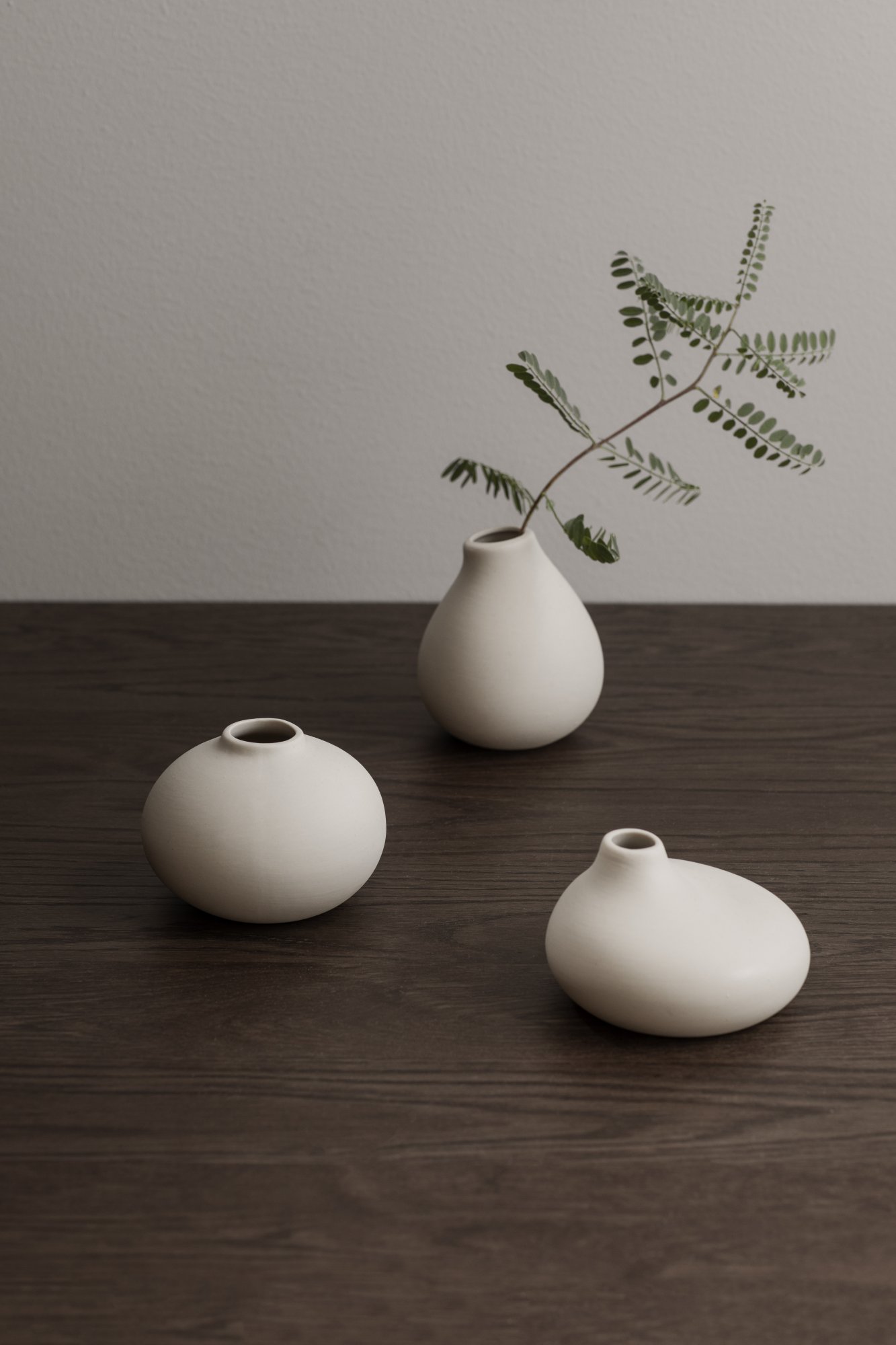 Minimalist ceramic vases with greenery on a wooden table.