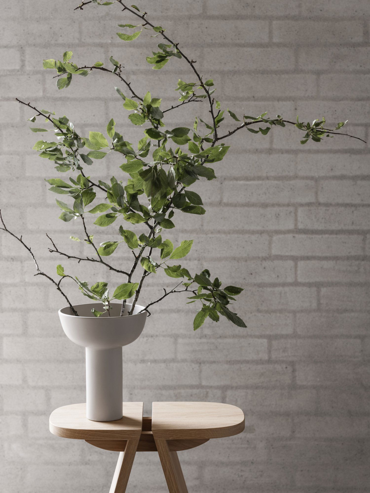Minimalistic vase with branches and fresh green leaves against a textured brick wall.