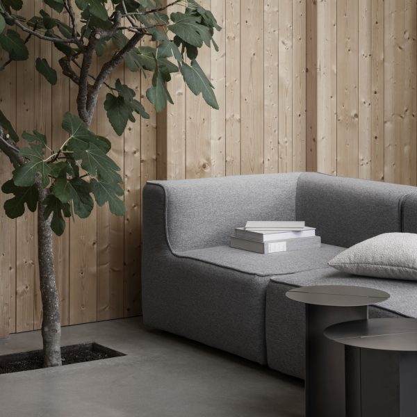 Moderne graue Couch mit Büchern und einem kleinen Tisch neben einem blättrigen Zimmerbaum und Holzwänden.