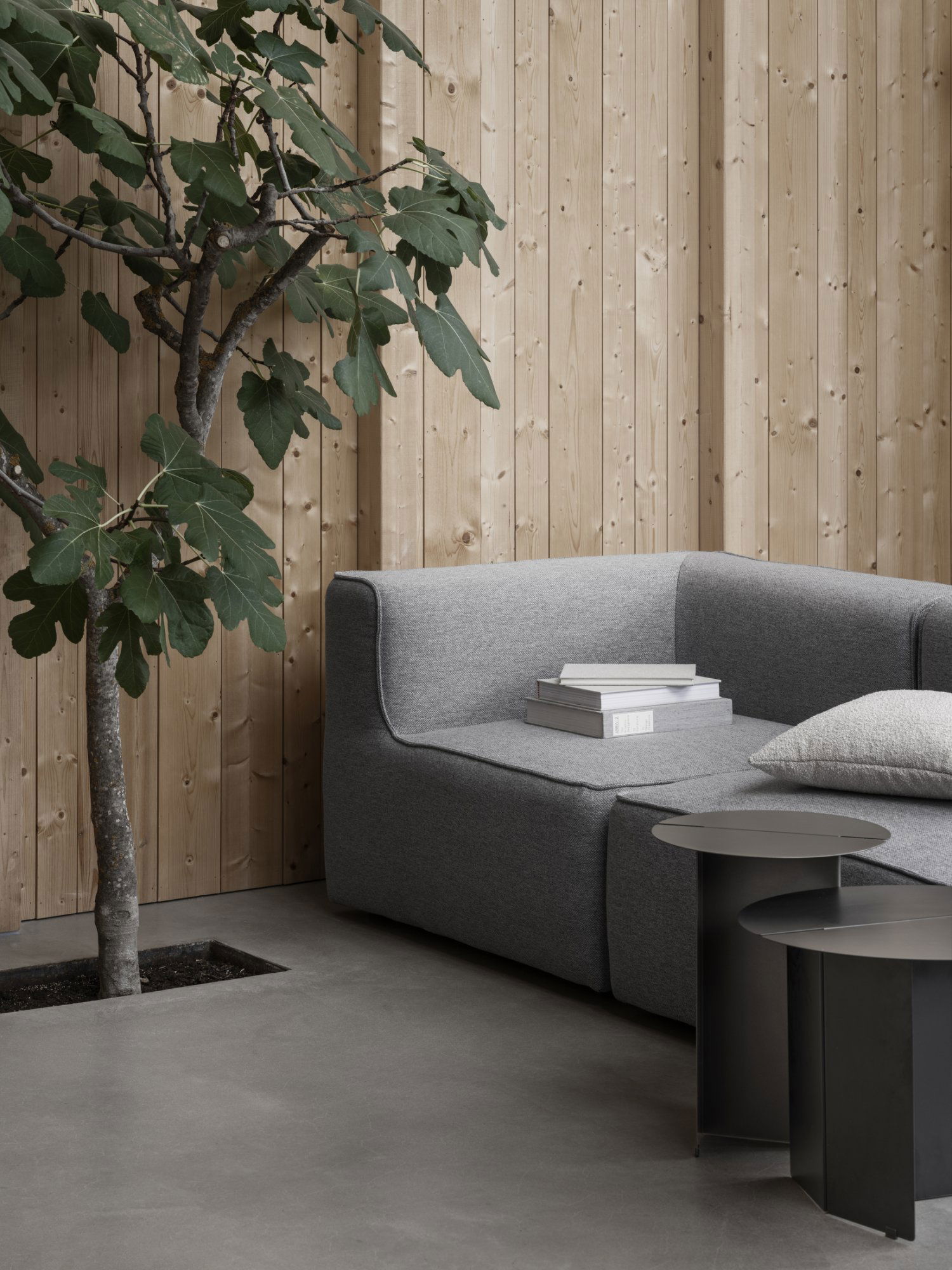 Moderne graue Couch mit Büchern und einem kleinen Tisch neben einem blättrigen Zimmerbaum und Holzwänden.