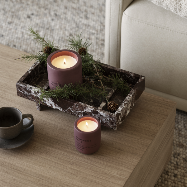 A cozy living room scene featuring scented candles and pine branches on a stylish tray.